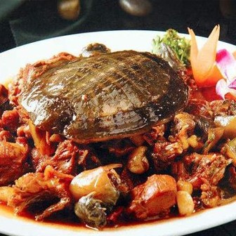 美食：杀甲鱼有诀窍，大厨教你正确方法和清洗技巧，收藏备用